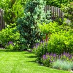 Die Vorteile von Rasenkante Cortenstahl und Schlossschrauben für deinen Garten
